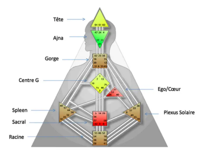 Schéma des 9 centres énergétiques du Design Humain — Tête, Ajna, Gorge, Centre G, Ego, Sacral, Plexus Solaire, Spleen et Racine
